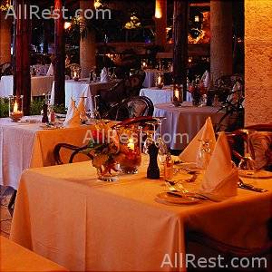 Coral Reef Club 43